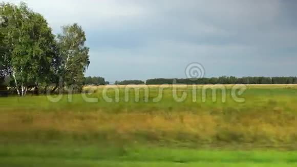 波夫俄罗斯阿尔泰地区多云天气下沿着黄色农田和森林移动视频的预览图
