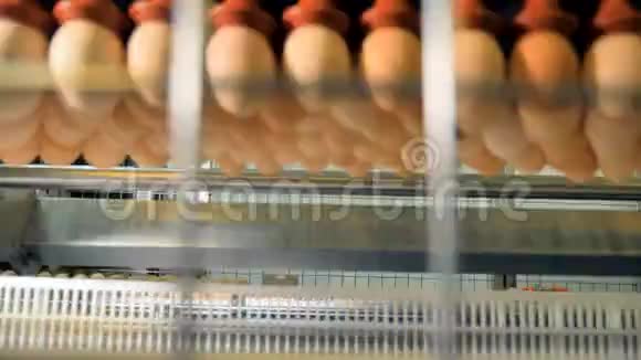 禽蛋分拣工业机器4K视频的预览图