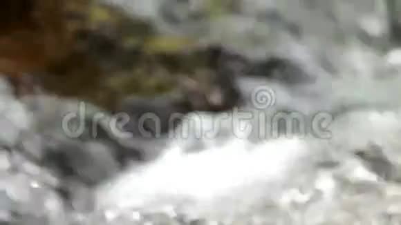 水流的离焦镜头视频的预览图