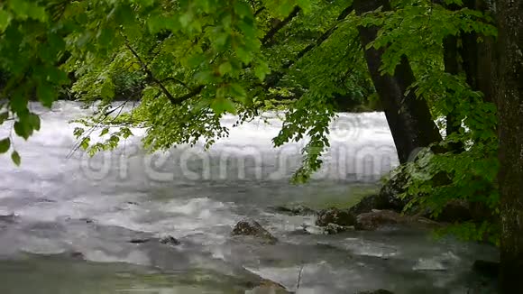 山溪视频的预览图
