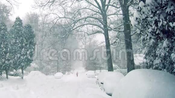 人在暴风雪中上路视频的预览图