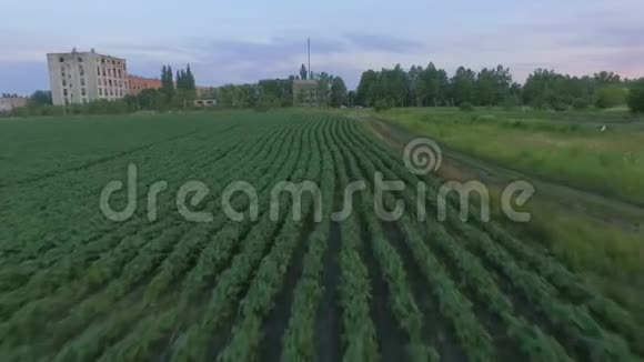 在村庄附近的田野上可以看到空中景色视频的预览图