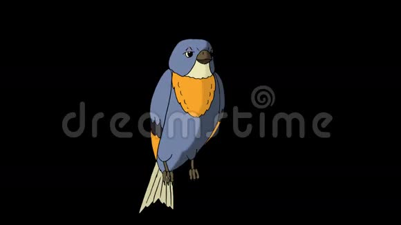 蓝鸟坐着唱歌带有阿尔法频道的动画画面视频的预览图