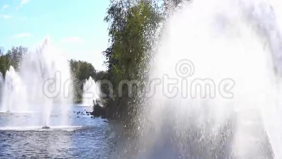 公园喷泉喷泉水溅到湖面视频的预览图