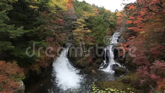 日本日经秋季的Ryuzu瀑布视频的预览图