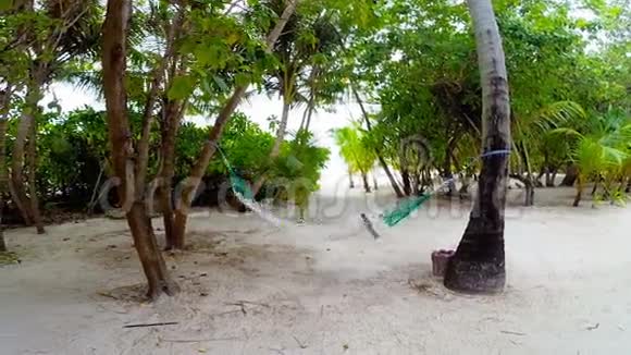 热带海滩棕榈树之间空吊床视频的预览图