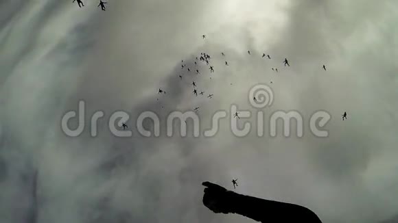 在灰色的天空中坠落的跳伞者形成巨大的队形极端身高云视频的预览图