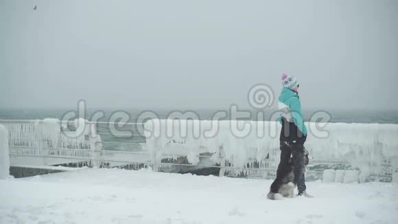 在暴风雪中年轻的女性和西伯利亚哈士奇狗在海滩上玩耍和奔跑动作缓慢视频的预览图