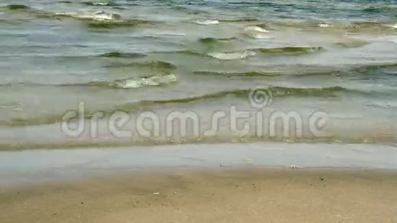 海浪接近沙滩视频的预览图