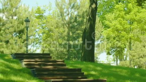 夏天公园里的楼梯绿色森林环境中的公园台阶视频的预览图