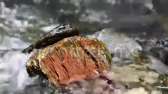 水流中的石头视频的预览图