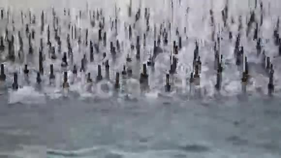 喷泉带流水视频的预览图