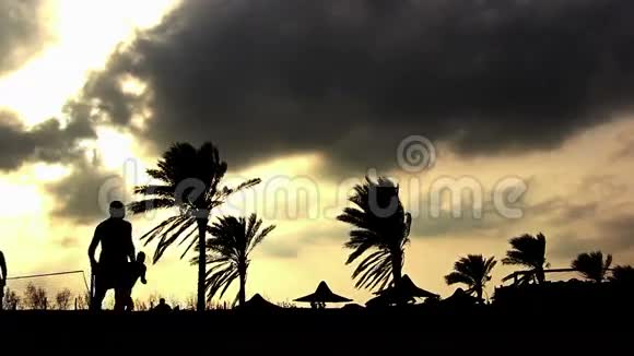日落时分人们在棕榈树下玩沙滩足球视频的预览图