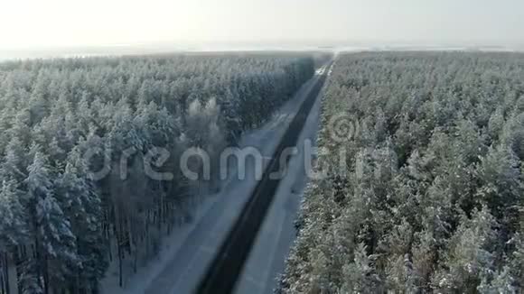 鸟瞰冬林雪树枝中看冬林冬季景观森林树木覆盖视频的预览图