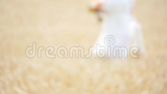 穿着白色衣服的女孩在风中穿过一片麦田慢动作视频的预览图