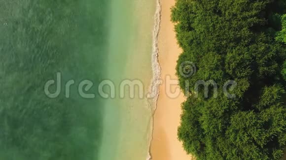 有清水和绿树的洁净海滩的空中俯视图视频的预览图