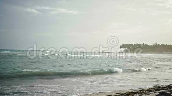 多米尼加共和国热带海滩慢波大浪视频的预览图