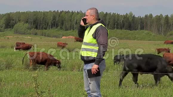 牧场奶牛附近有手机的农夫视频的预览图