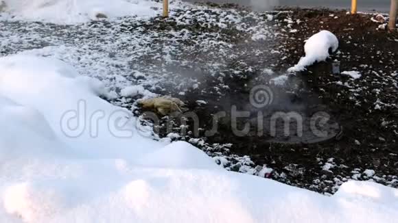 蒸汽是从卫生下水道覆盖在雪事故融化的雪视频的预览图