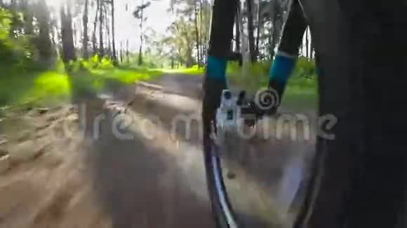 在森林里骑自行车低角度视图视频的预览图