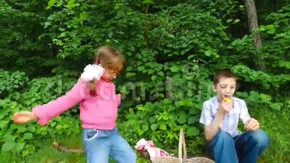 孩子们在森林里休息晚上在森林水果中用餐少年吃杏子视频的预览图