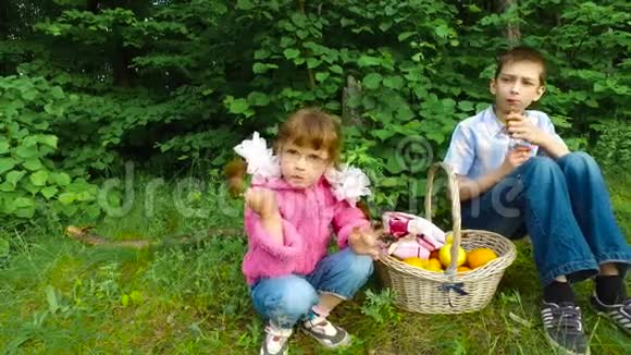 孩子们在森林里休息晚上在森林水果中用餐少年吃杏子视频的预览图