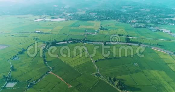 清莱地区美丽的田野和河流的鸟瞰图视频的预览图