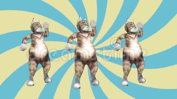 概念酷和有趣的宠物猫舞江南风格移动到节拍动画视频的预览图