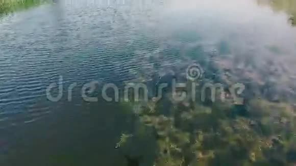 一条小河从上面看飞行无人机视频的预览图