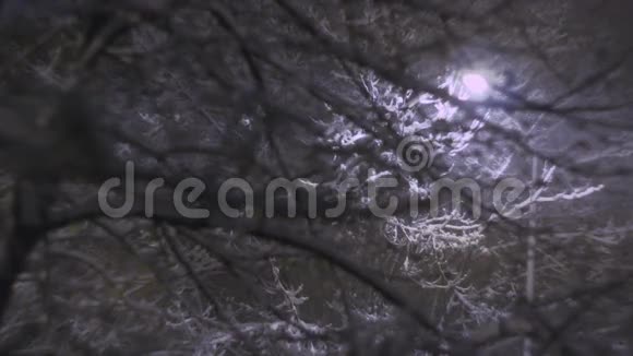 寒冷的雪夜暴雪视频的预览图