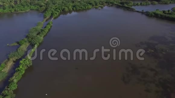 沼泽和沼泽地靠近大海飞行员视频的预览图
