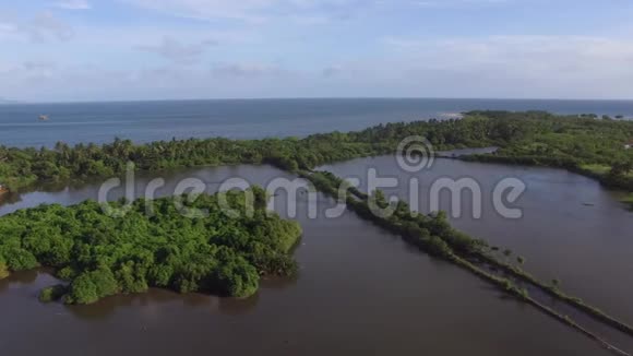 沼泽和沼泽地靠近大海飞行员视频的预览图