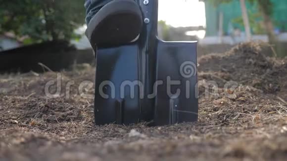 农夫用铲子挖地花园特写慢动作视频在花园农业工作的农民视频的预览图