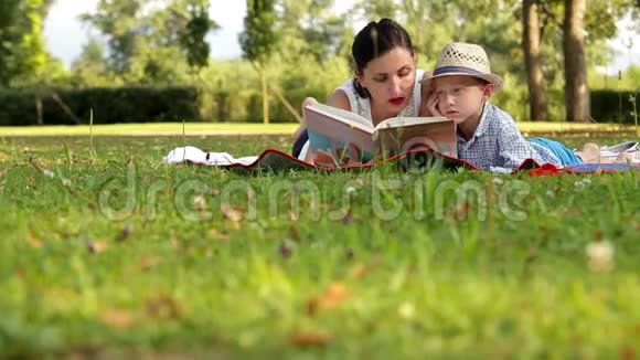 母亲和儿子全神贯注地在夏季公园看书视频的预览图