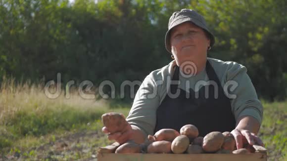 成年女农民收集新鲜土豆并将其分类放入木箱在花园里收获幼薯视频的预览图
