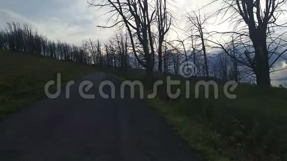 山口上的死林视频的预览图