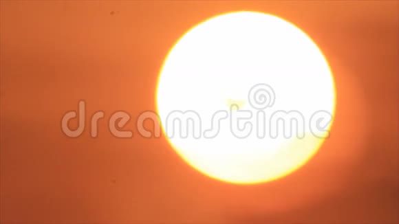 鸟儿在太阳盘上剪影视频的预览图
