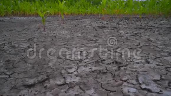 全球变暖的概念生态概念农田附近的旱地和风力涡轮机视频的预览图