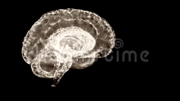 心理学概念抽象空间雾形成的人脑结构的视频视图视频的预览图