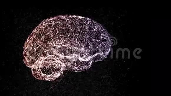 黑色背景下抽象彩色大脑的4K视频方案创造性思维观念视频的预览图