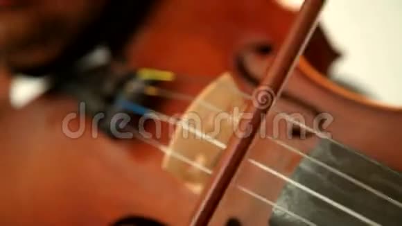 兰草小提琴演奏视频的预览图