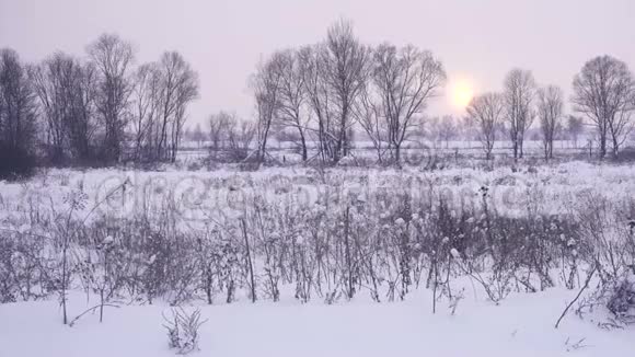 日落时美丽的冬季景观视频的预览图
