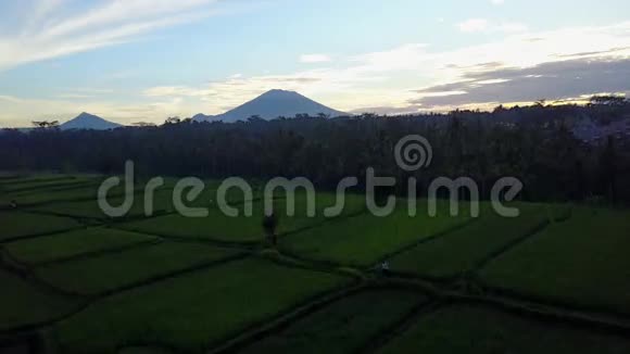 从火山口飞过稻田视频的预览图