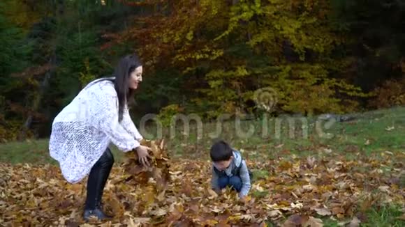 妈妈和她的小儿子在秋天的森林里玩得很开心他们跳起来把树叶扔到空中他们在笑这就是视频的预览图