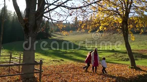 妈妈和她的孩子们在秋天的森林里玩得很开心他们跳起来把树叶扔到空中他们在笑这就是视频的预览图