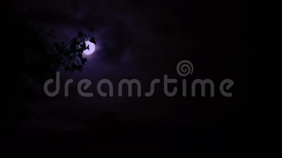 夜晚时光月光透过树木视频的预览图