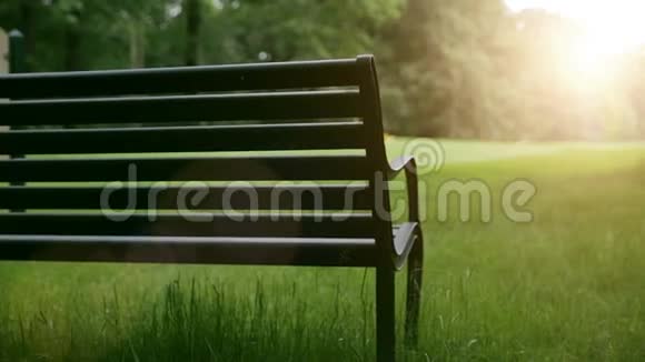 有阳光的自然长凳视频的预览图