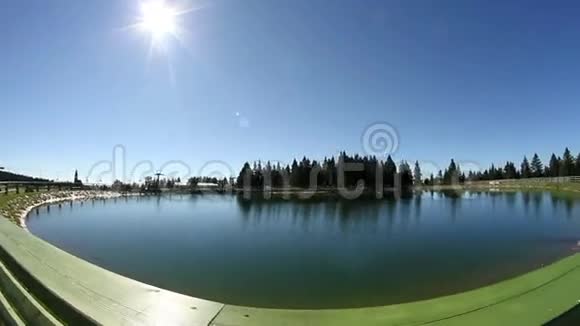 美丽的一天阳光照耀在湖和森林之上视频的预览图