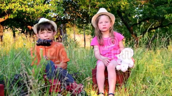 孩子们在花园里度过暑假孩子们在花园里度暑假视频的预览图