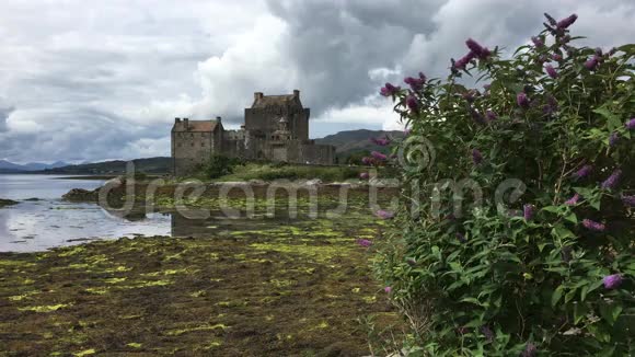 4K超高清风景如画的爱尔兰多南城堡视频的预览图